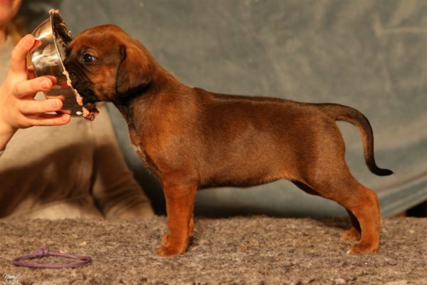 Lola 4 weeks