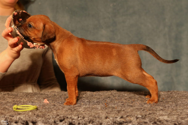 Frida 4 weeks