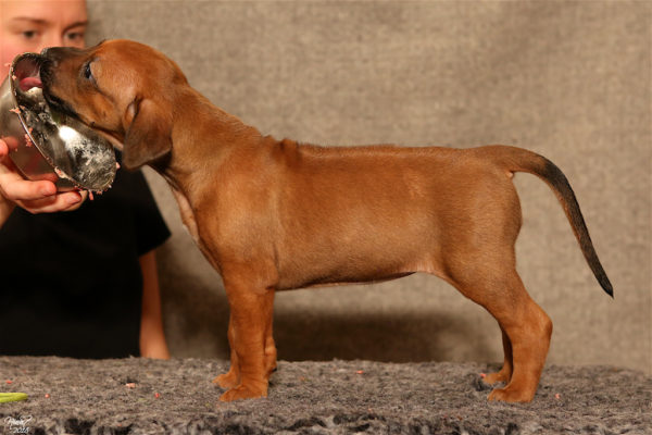 Frida 5 weeks