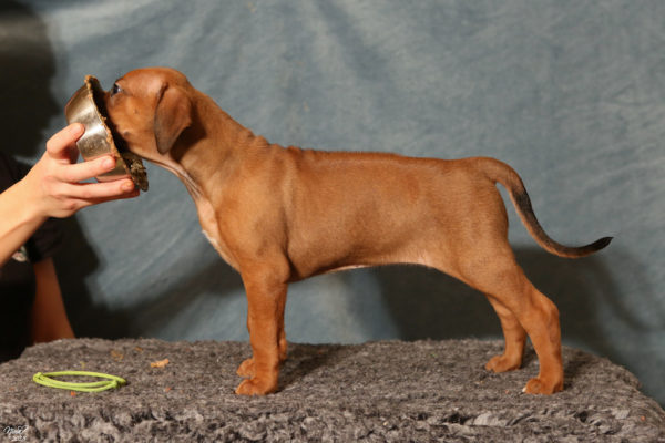 Frida 6 weeks