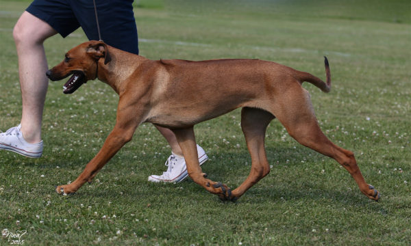 Lola 7 months